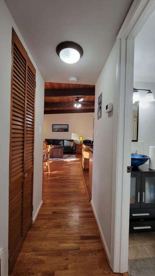 Entire One Bedroom Apartment Annandale Exterior foto