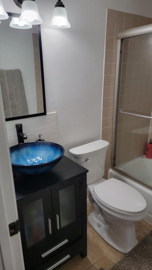 Entire One Bedroom Apartment Annandale Exterior foto